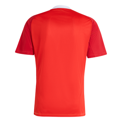 Camisa Adidas Flamengo 25/26 Third Goleiro