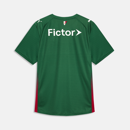 Camisa Puma Palmeiras 26/27 Home Jogador