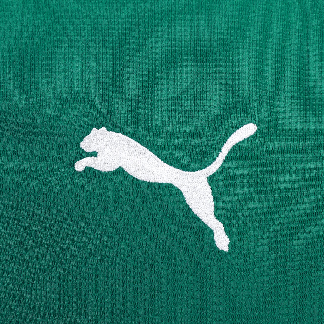 Camisa Puma Palmeiras 2025/26 Home