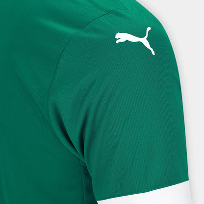 Camisa Puma Palmeiras 2025/26 Home