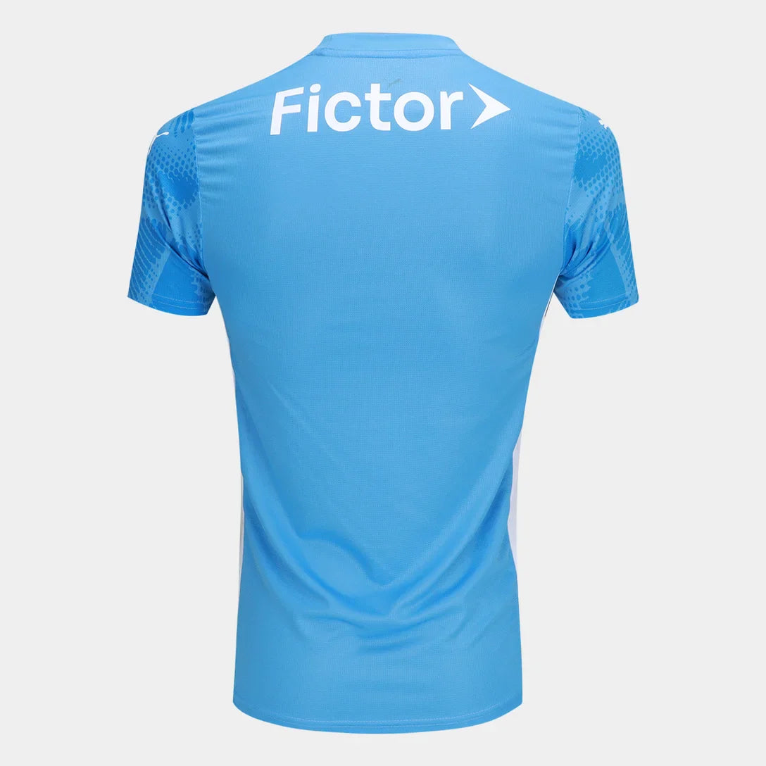 Camisa Goleiro Palmeiras 2025 I